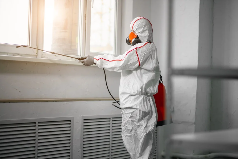 Professional mold remediation services in Lanett, AL
